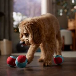 Frisco Holiday Ho Ho Ho Fetch Squeaky Tennis Ball Dog Toy 9 Frisco Holiday Ho Ho Ho Fetch Squeaky Tennis Ball Dog Toy -Blue Buffalo Shop 360952 PT3. AC SS1800 V1661874421