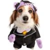 Pet Krewe Sesame Street The Count Dog Costume 1 Pet Krewe Sesame Street The Count Dog Costume -Blue Buffalo Shop 361125 MAIN. AC SS1800 V1649195836