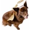 Pet Krewe Angel Wings Gold Dog Costume, One Size 2 Pet Krewe Angel Wings Gold Dog Costume, One Size -Blue Buffalo Shop 361134 MAIN. AC SS1800 V1648071103