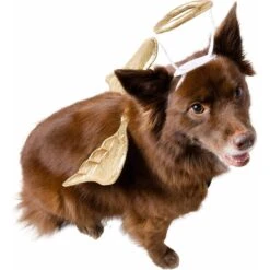 Pet Krewe Angel Wings Gold Dog Costume, One Size