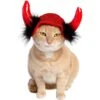 Pet Krewe Cat Devil Red Hat Dog Costume, One Size -Blue Buffalo Shop 361138 MAIN. AC SS1800 V1648073515