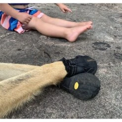 Muttluks Trackers All-Season Dog Boots, Black, 2 Count -Blue Buffalo Shop 361661 PT3. AC SS1800 V1648259200