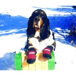 Muttluks Original Fleece-Lined Winter Dog Boots, 4 Count -Blue Buffalo Shop 361669 PT2. AC SS1800 V1645118781