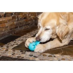 Hugglehounds Okko Tuffut-Flex Ball Dog Toy, Blue 18 Hugglehounds Okko Tuffut-Flex Ball Dog Toy, Blue -Blue Buffalo Shop 362021 PT7. AC SS1800 V1644022995