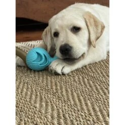 Hugglehounds Okko Tuffut-Flex Ball Dog Toy, Blue 19 Hugglehounds Okko Tuffut-Flex Ball Dog Toy, Blue -Blue Buffalo Shop 362021 PT8. AC SS1800 V1644015169