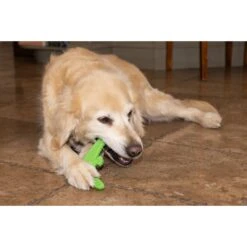 Hugglehounds LeLe Tuffut-Flex Flyer Dog Toy, Green -Blue Buffalo Shop 362026 PT7. AC SS1800 V1644018113