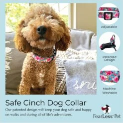 FearLess Pet Safe Cinch Dog Collar -Blue Buffalo Shop 362479 PT4. AC SS1800 V1693245025