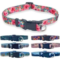 FearLess Pet Safe Cinch Dog Collar -Blue Buffalo Shop 362479 PT7. AC SS1800 V1693247246