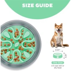 Outward Hound Fun Feeder Wobble Slo-Bowl Dog Bowl, Mint -Blue Buffalo Shop 363002 PT4. AC SS1800 V1694287423