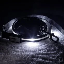 Blazin' Safety LED Dog Leash