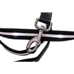 Blazin' Safety LED Dog Leash -Blue Buffalo Shop 363298 PT2. AC SS1800 V1645119982