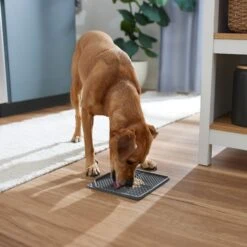 Frisco Non-skid Square Silicone Dog & Cat Lick Mat -Blue Buffalo Shop 363402 PT2. AC SS1800 V1668118082