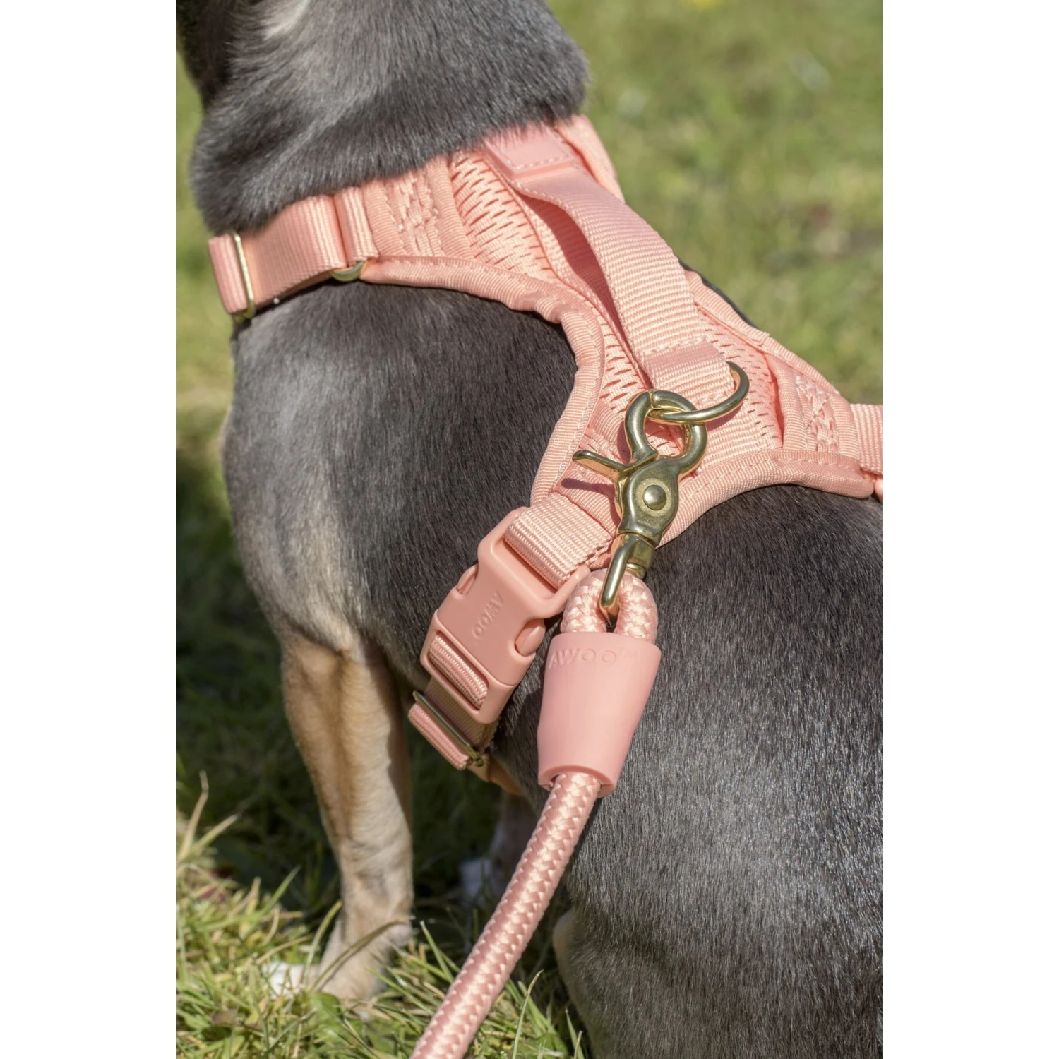 Awoo Huggie Front Clip Dog Harness 8 Awoo Huggie Front Clip Dog Harness - Image 6