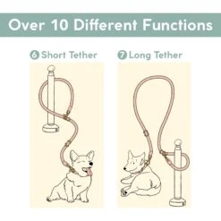 Awoo Infinity Standard Dog Leash, 7-ft Long -Blue Buffalo Shop 363704 PT6. AC SS1800 V1643758968