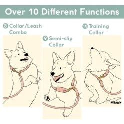 Awoo Infinity Standard Dog Leash, 7-ft Long -Blue Buffalo Shop 363704 PT7. AC SS1800 V1643781112