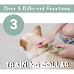 Awoo City Standard Dog Leash, 5-ft Long -Blue Buffalo Shop 363709 PT4. AC SS1800 V1643777721