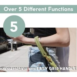 Awoo City Standard Dog Leash, 5-ft Long -Blue Buffalo Shop 363709 PT6. AC SS1800 V1643761955