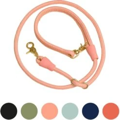 Awoo City Standard Dog Leash, 5-ft Long -Blue Buffalo Shop 363709 PT7. AC SS1800 V1643768406