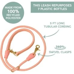 Awoo City Standard Dog Leash, 5-ft Long -Blue Buffalo Shop 363709 PT8. AC SS1800 V1643770879