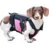 Walkin' Pets Dog Walkin' VertebraVe, Pink -Blue Buffalo Shop 363851 MAIN. AC SS1800 V1643921206