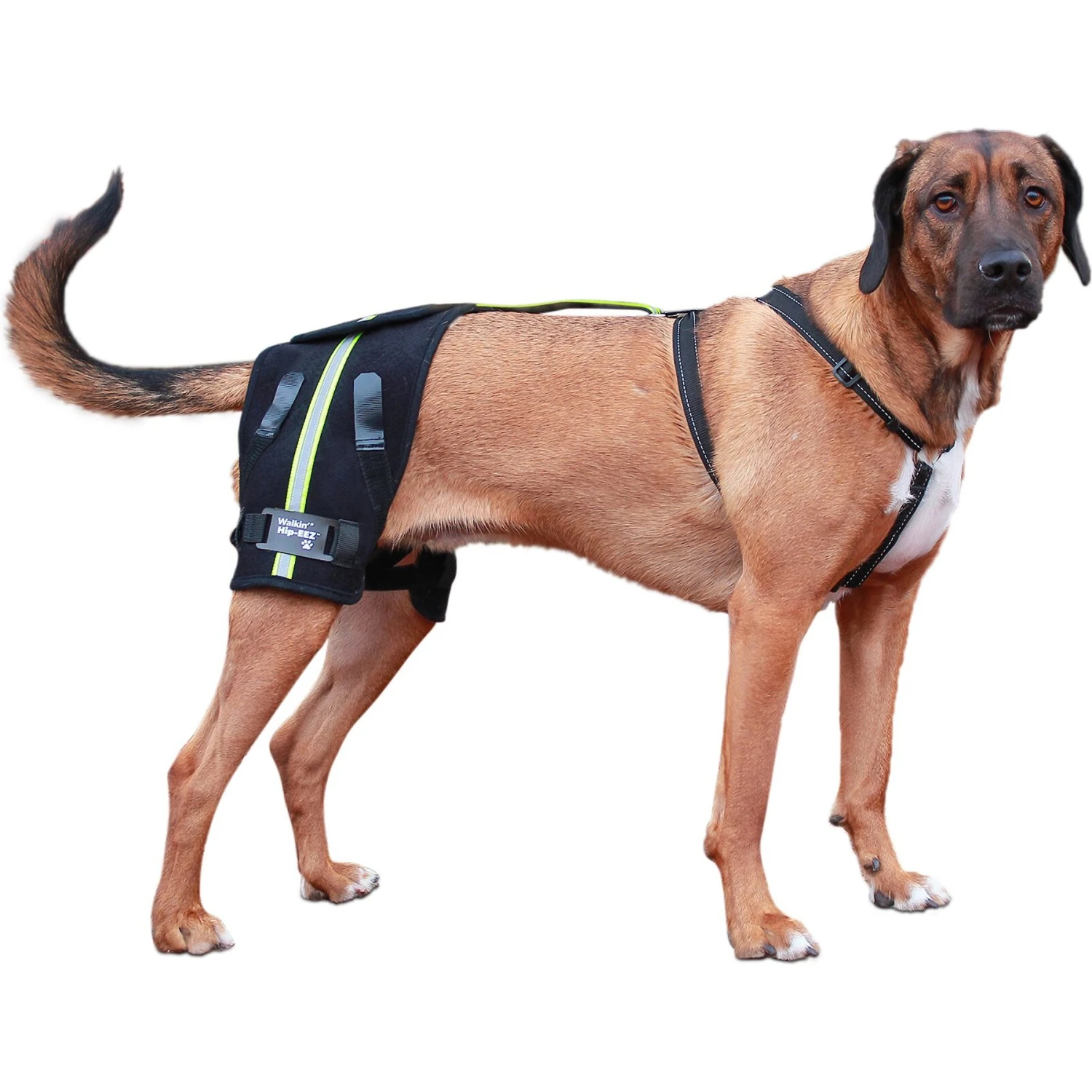 Walkin' Pets Dog Walkin' Hip-EEZ Support System, Black 3 Walkin' Pets Dog Walkin' Hip-EEZ Support System, Black