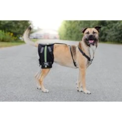 Walkin' Pets Dog Walkin' Hip-EEZ Support System, Black 10 Walkin' Pets Dog Walkin' Hip-EEZ Support System, Black -Blue Buffalo Shop 363863 PT4. AC SS1800 V1643927336
