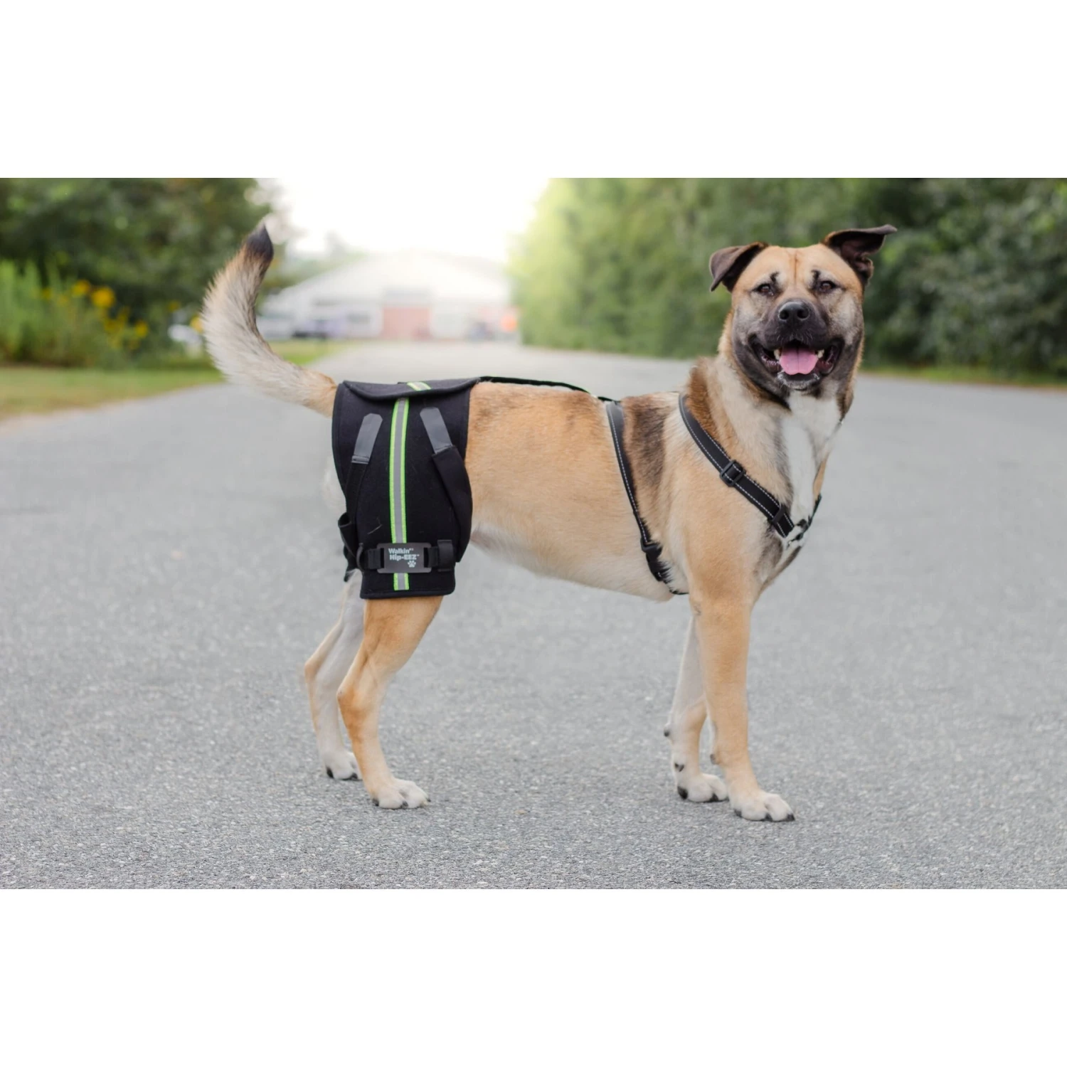 Walkin' Pets Dog Walkin' Hip-EEZ Support System, Black 6 Walkin' Pets Dog Walkin' Hip-EEZ Support System, Black - Image 4