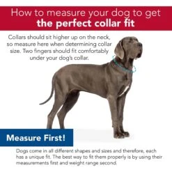 SecureAway Dog Flea Collar Protector -Blue Buffalo Shop 363894 PT6. AC SS1800 V1643253464