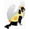 Royal Animals Chicken Dog Costume 2 Royal Animals Chicken Dog Costume -Blue Buffalo Shop 364474 MAIN. AC SS1800 V1645643885