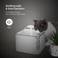 Petdiary Automatic Cat Water Fountain, White, Medium -Blue Buffalo Shop 364529 PT7. AC SS1800 V1646700510