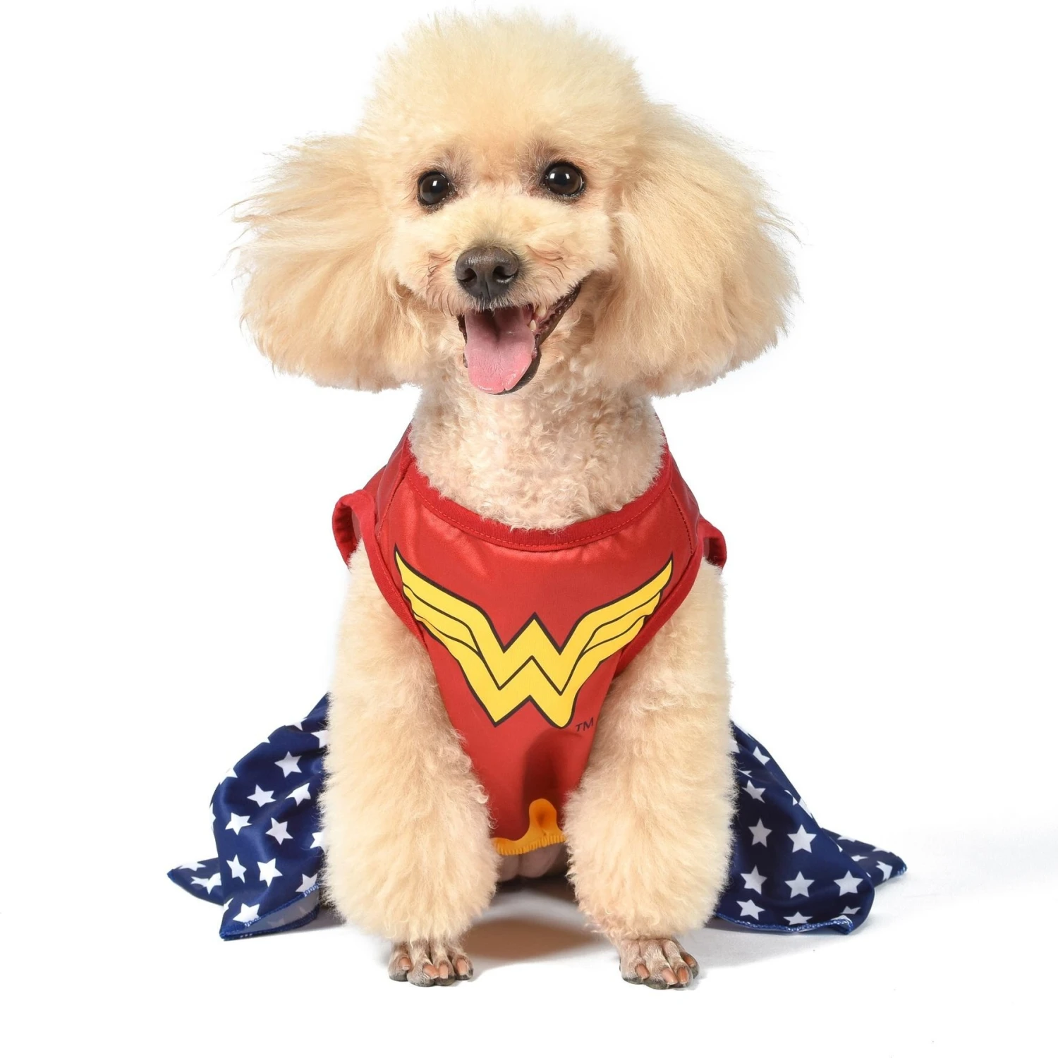 Fetch For Pets DC Comics Wonderwoman Halloween Dog Costume 4 Fetch For Pets DC Comics Wonderwoman Halloween Dog Costume - Image 2