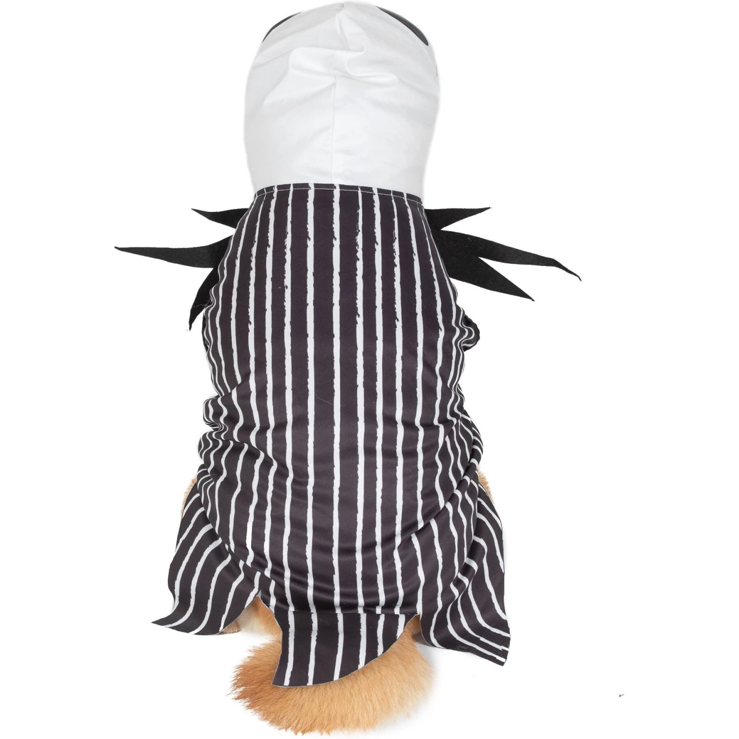 Fetch For Pets Disney Halloween Nightmare Before Christmas Jack Skellington Dog Costume 5 Fetch For Pets Disney Halloween Nightmare Before Christmas Jack Skellington Dog Costume - Image 3