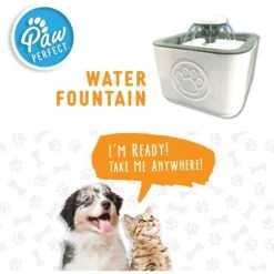 PawPerfect Cat & Dog Water Fountain, White 13 PawPerfect Cat & Dog Water Fountain, White -Blue Buffalo Shop 365301 PT8. AC SS1800 V1643927833