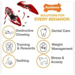 Nylabone Advanced Oral Care Original Flavor Puppy Dental Kit & Nylabone Puppy Pacifier Teething Toy Chew Teething Pacifier Bacon -Blue Buffalo Shop 365504 PT7. AC SS1800 V1644018124