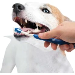 Nylabone Advanced Oral Care Original Flavor Puppy Dental Kit & N-Bone Puppy Teething Sticks Chicken Flavor Dog Treats 15 Nylabone Advanced Oral Care Original Flavor Puppy Dental Kit & N-Bone Puppy Teething Sticks Chicken Flavor Dog Treats -Blue Buffalo Shop 365512 PT4. AC SS1800 V1644016338