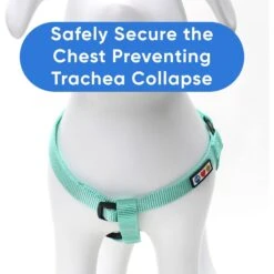 Pawtitas Solid Dog & Cat Harness -Blue Buffalo Shop 365740 PT3. AC SS1800 V1680550261