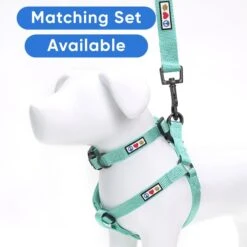 Pawtitas Solid Dog & Cat Harness -Blue Buffalo Shop 365740 PT5. AC SS1800 V1680617333