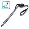 Pawtitas Padded Reflective Dog Leash 2 Handles -Blue Buffalo Shop 365795 MAIN. AC SS1800 V1646253395