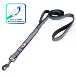 Pawtitas Padded Reflective Dog Leash 2 Handles