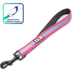 Pawtitas Padded Reflective Short Dog Leash