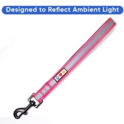 Pawtitas Padded Reflective Short Dog Leash 12 Pawtitas Padded Reflective Short Dog Leash -Blue Buffalo Shop 365803 PT3. AC SS1800 V1680614400