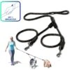 Pawtitas 2 Dog Reflective Rope Dog Leash 2 Pawtitas 2 Dog Reflective Rope Dog Leash -Blue Buffalo Shop 365836 MAIN. AC SS1800 V1646254606