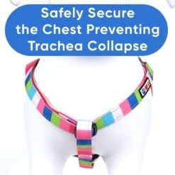 Pawtitas Dog Harness -Blue Buffalo Shop 366030 PT5. AC SS1800 V1646081524