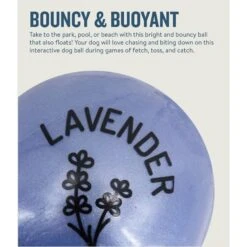 Planet Dog Orbee-Tuff Essentials Lavender Scented Interactive Dog Ball Treat Dispenser Toy, Purple 13 Planet Dog Orbee-Tuff Essentials Lavender Scented Interactive Dog Ball Treat Dispenser Toy, Purple -Blue Buffalo Shop 367761 PT3. AC SS1800 V1675356950