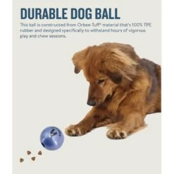 Planet Dog Orbee-Tuff Essentials Lavender Scented Interactive Dog Ball Treat Dispenser Toy, Purple 14 Planet Dog Orbee-Tuff Essentials Lavender Scented Interactive Dog Ball Treat Dispenser Toy, Purple -Blue Buffalo Shop 367761 PT4. AC SS1800 V1675356345