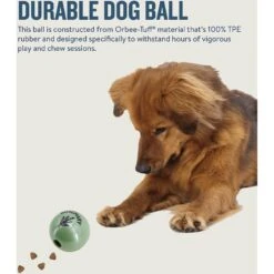 Planet Dog Orbee-Tuff Essentials Rosemary Scented Interactive Dog Ball Treat Dispenser Toy, Green 14 Planet Dog Orbee-Tuff Essentials Rosemary Scented Interactive Dog Ball Treat Dispenser Toy, Green -Blue Buffalo Shop 367763 PT4. AC SS1800 V1644525470