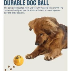 Planet Dog Orbee-Tuff Essentials Vanilla Scented Interactive Dog Ball Treat Dispenser Toy, Yellow -Blue Buffalo Shop 367765 PT4. AC SS1800 V1644525693