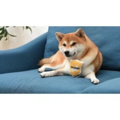 Fetch For Pets Harry Potter House Sorting Hat Burrow Dog Toy -Blue Buffalo Shop 367779 PT8. AC SS1800 V1645225899