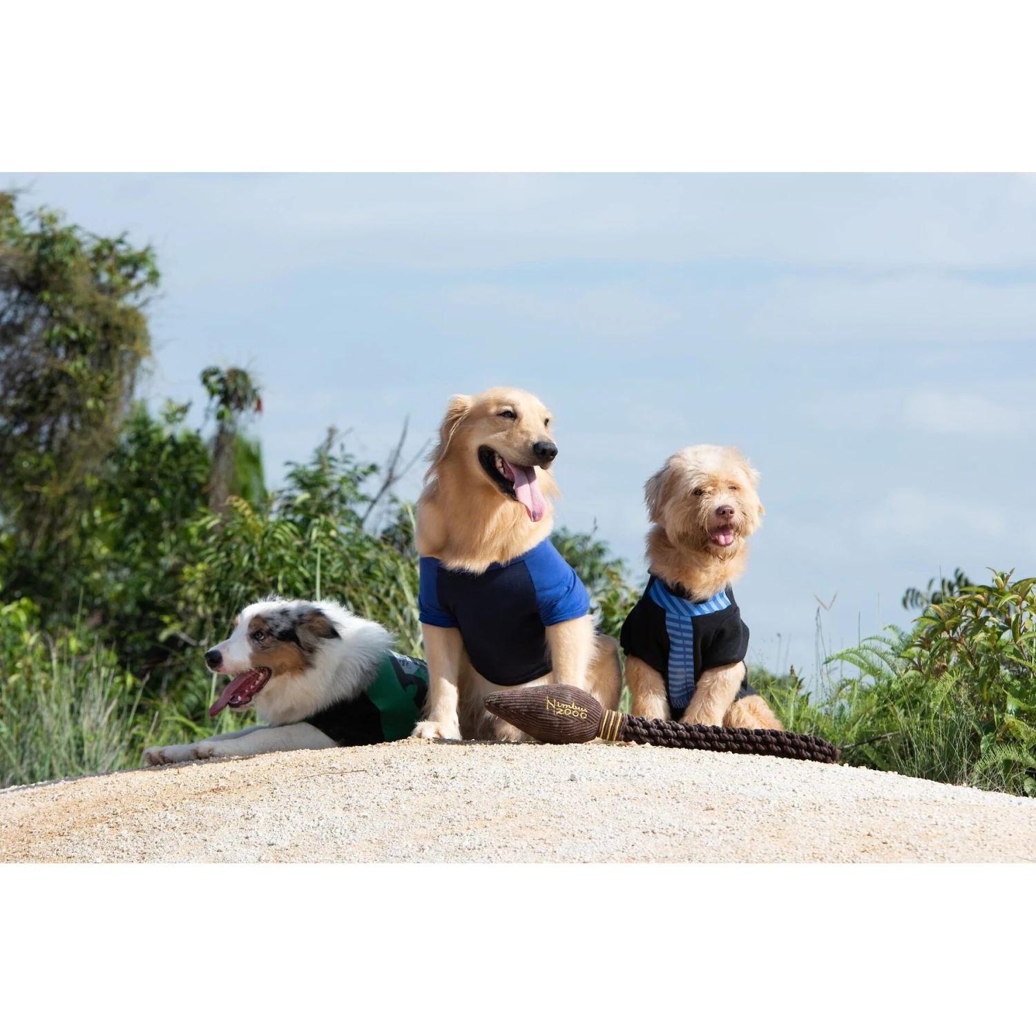 Fetch For Pets Harry Potter Nimbus 2000 Rope Dog Toy 8 Fetch For Pets Harry Potter Nimbus 2000 Rope Dog Toy - Image 6