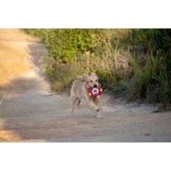 Fetch For Pets Harry Potter 9 3/4 Platform Frisbee Dog Toy -Blue Buffalo Shop 367785 PT3. AC SS1800 V1645221773
